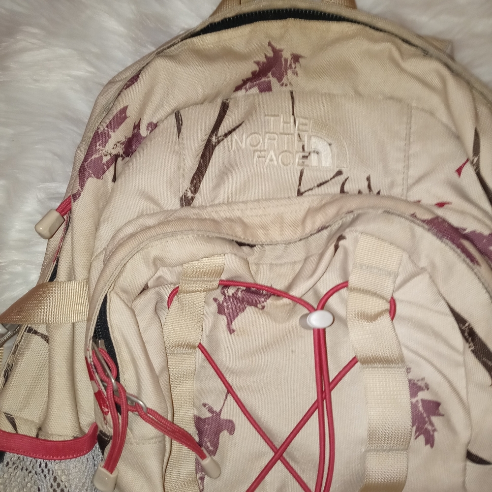 The Northface backpack